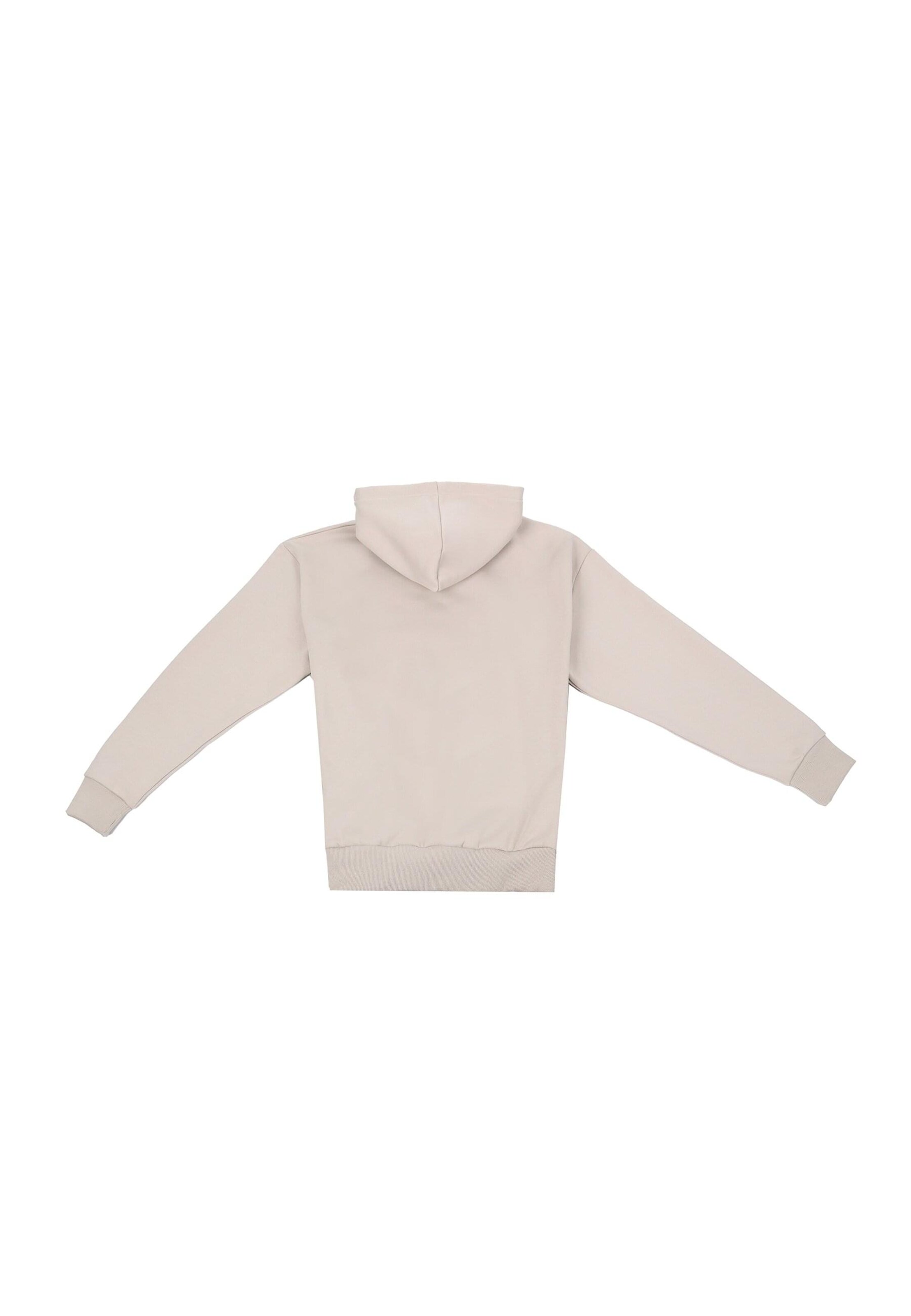 Dropsize Sweatshirt 'EMBO' in Grau