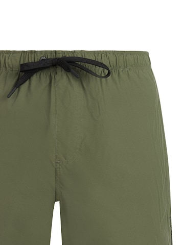 PROTEST Regular Hose 'PRTQuinton'‌‌‌‌‌‌ in Grün