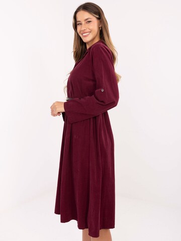 Madnezz House Kleid in Rot