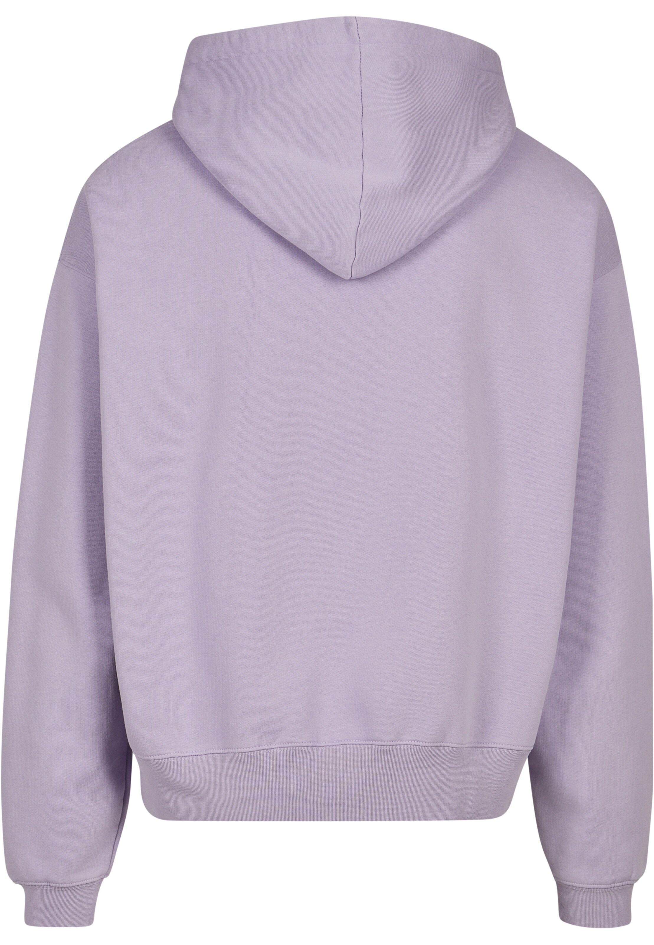 DEF Свитшот в Лиловый