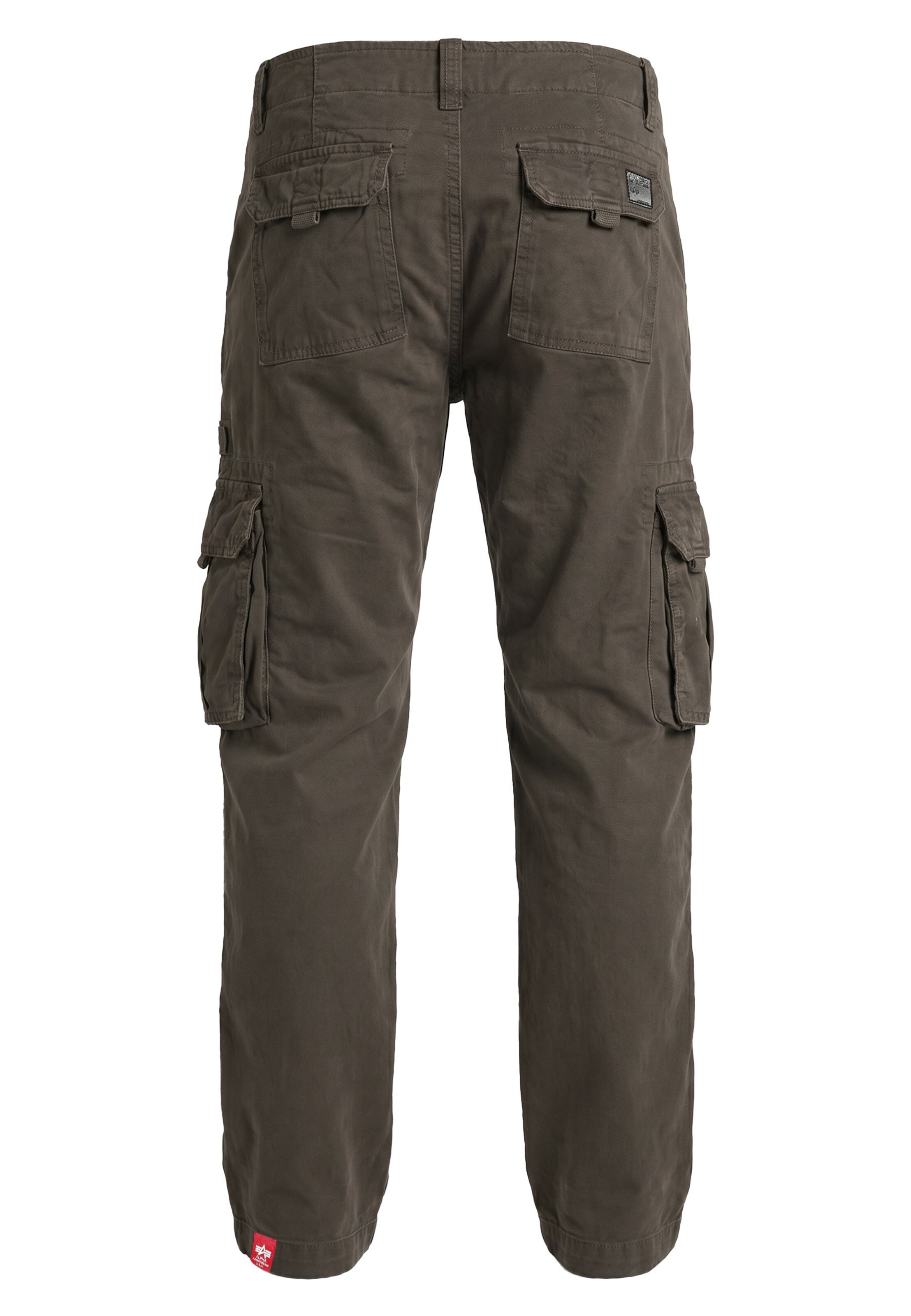 ALPHA INDUSTRIES Regular Hose 'Jet' in Grau