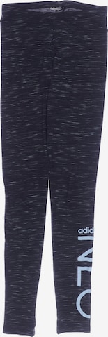 ADIDAS NEO Pants in XXS in Black: front