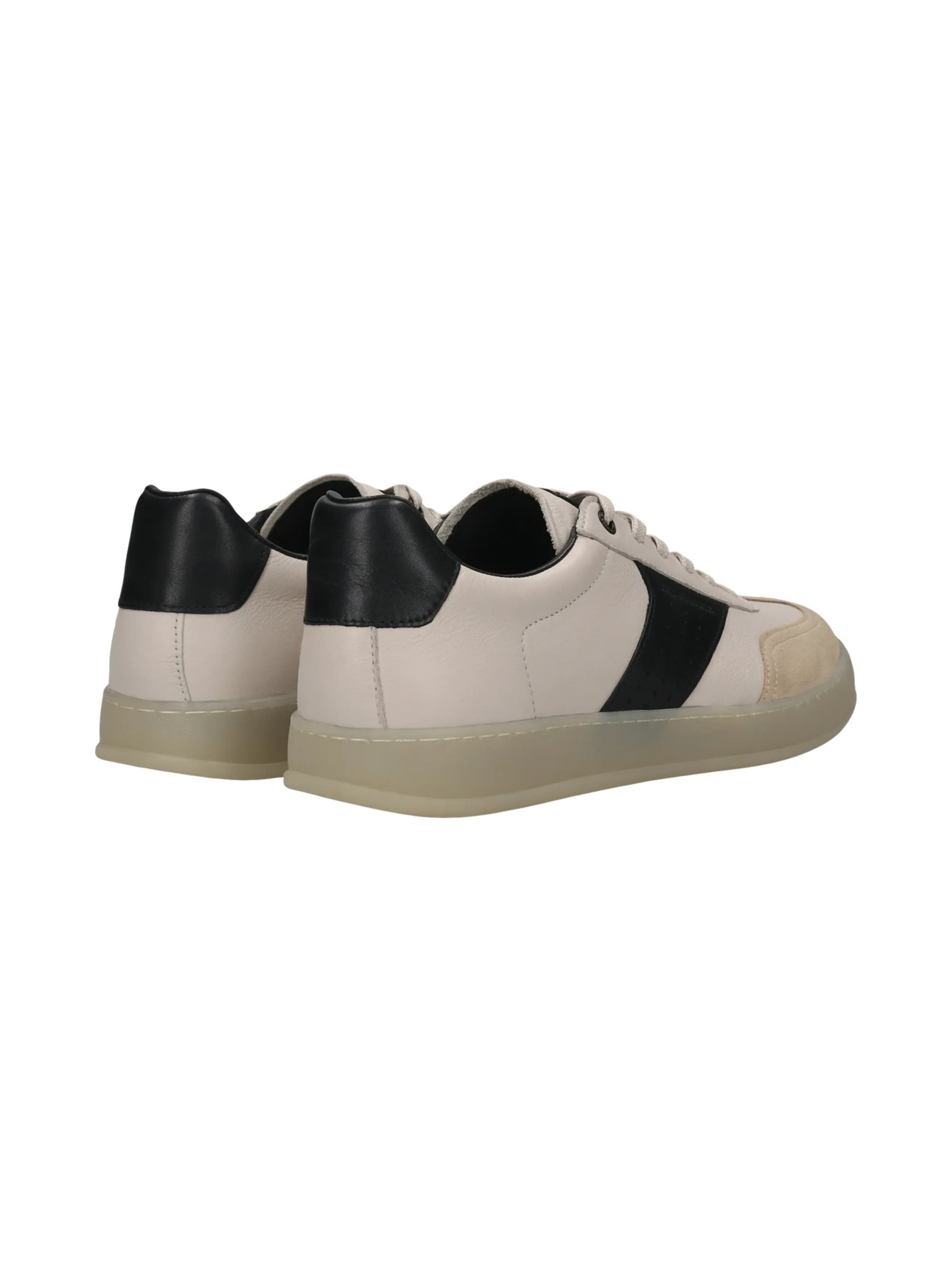 SALAMANDER - Zapatillas deportivas bajas en beige