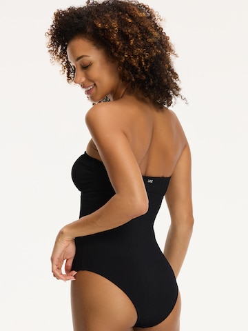 Shiwi Bandeau Swimsuit 'Zia' in Black