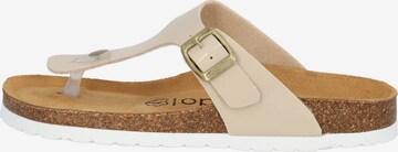 Palado Teenslipper 'Kos' in Beige