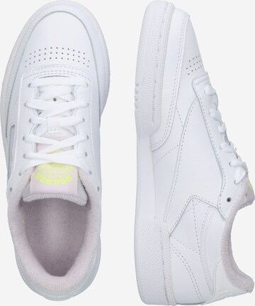 Baskets basses ' Club C 85 ' Reebok en blanc