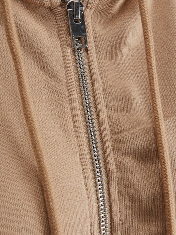 JJXX Zip-Up Hoodie 'Ally' in Brown