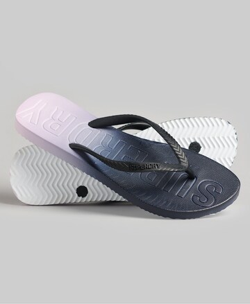 Superdry Beach & Pool Shoes in Blue