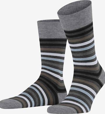 FALKE Socks 'Tinted Stripe' in Black: front