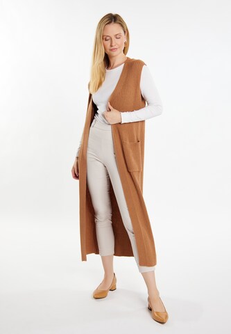 usha WHITE LABEL Knitted vest 'Teylon' in Brown