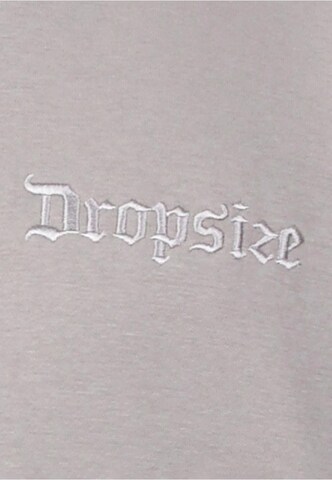 Felpa di Dropsize in grigio