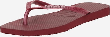 HAVAIANAS Босоножки через палец в Лиловый: спереди