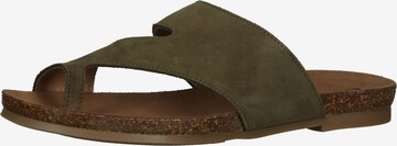 COSMOS COMFORT T-Bar Sandals in Green: front