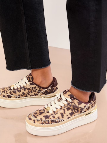 Baskets basses Lipsy en beige