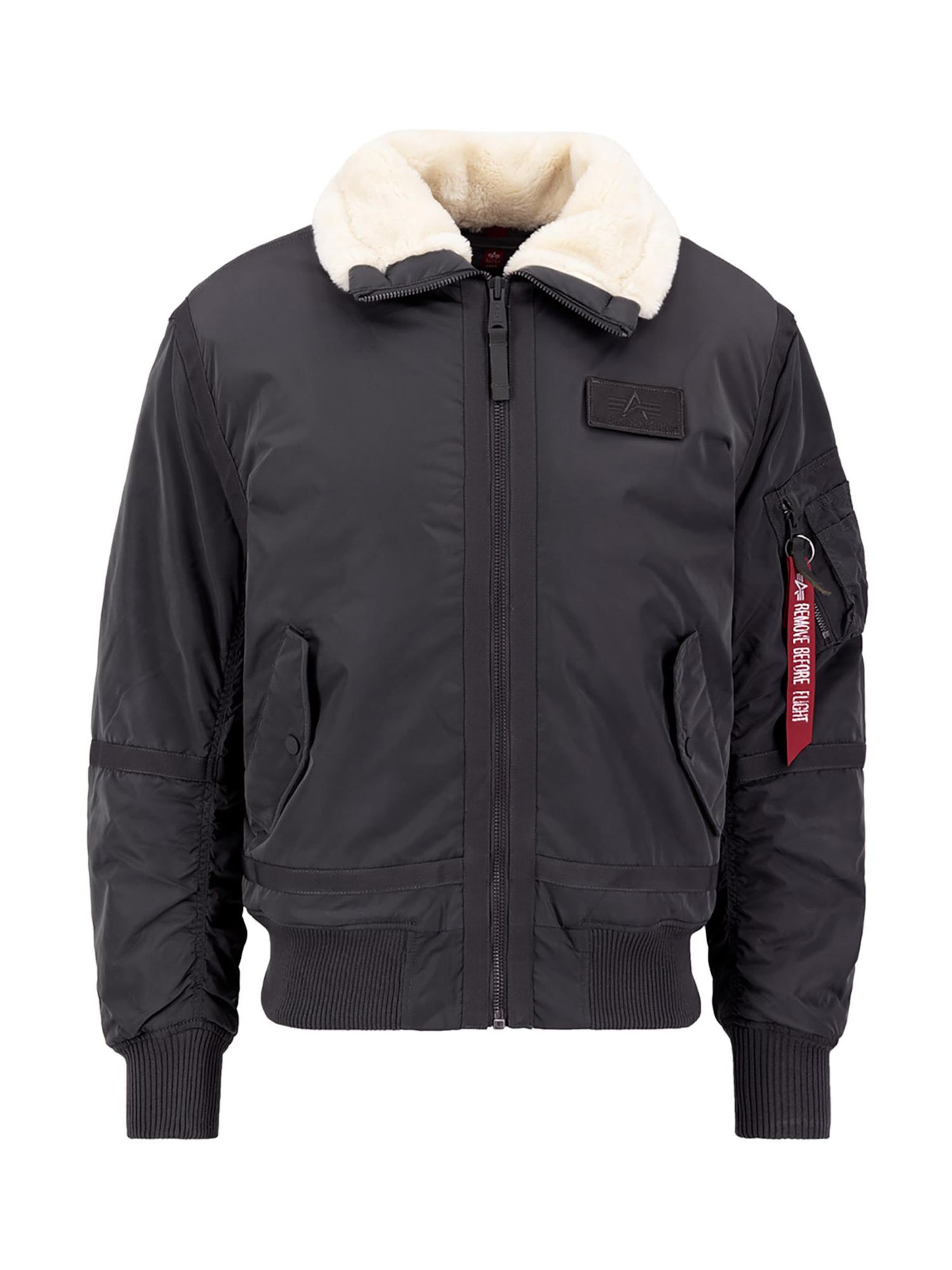 ALPHA INDUSTRIES Winter Jacket 'B15-3 TT' in Grey: front