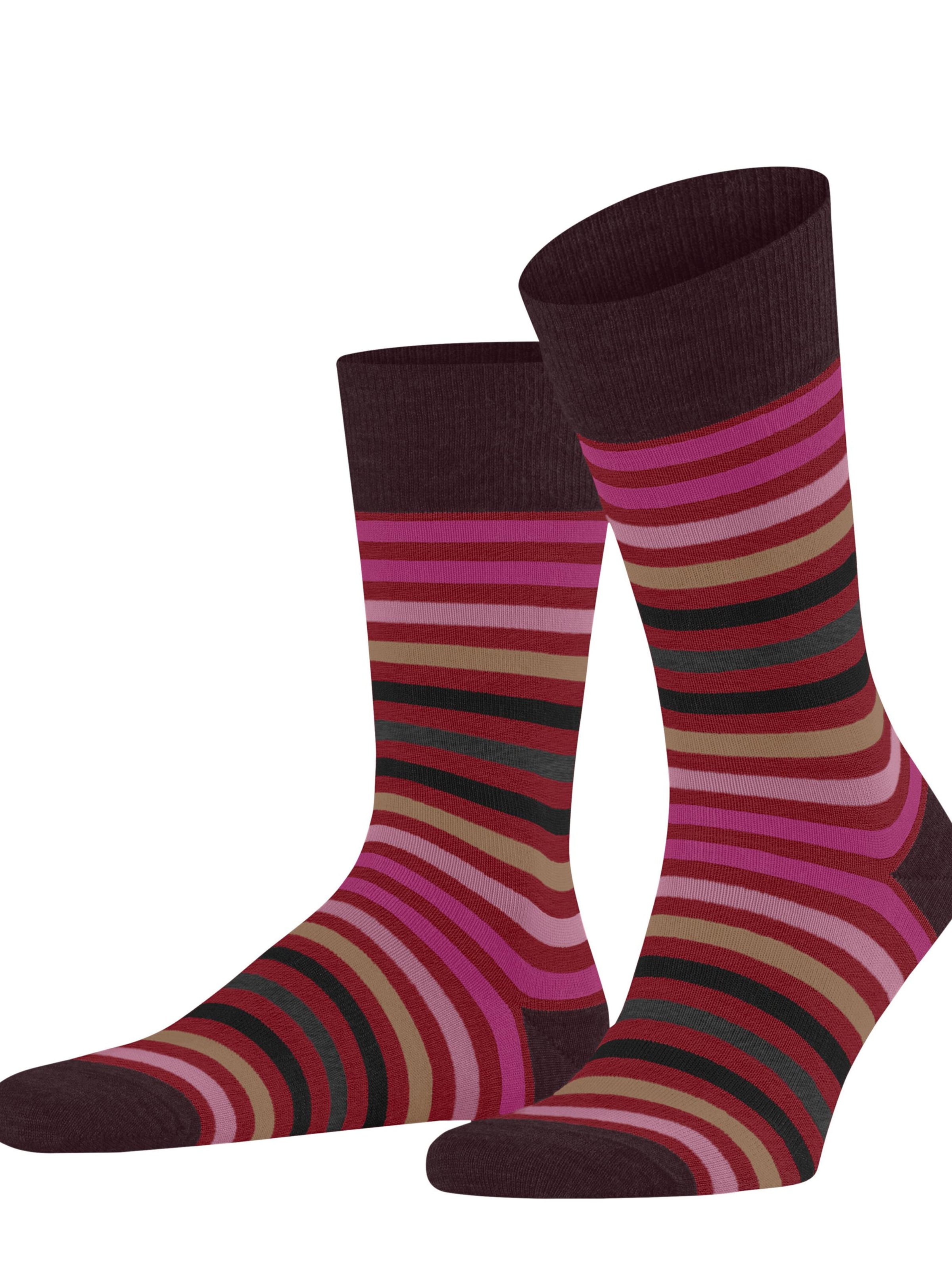 FALKE Socks 'Tinted Stripe' in Red: front
