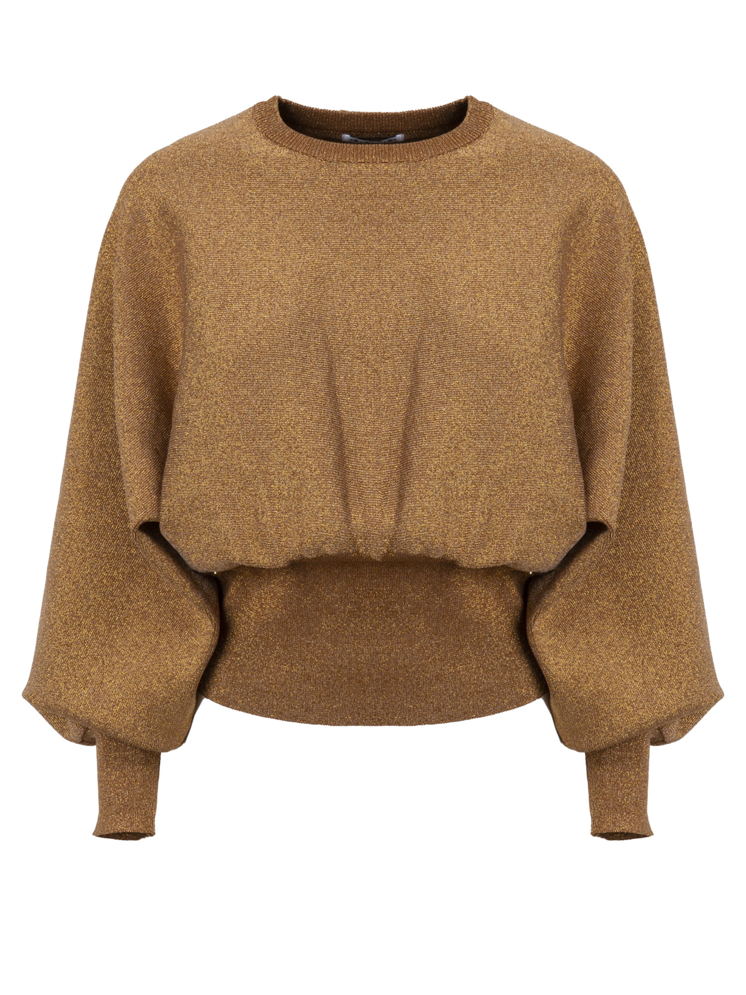 Influencer Sweater in Brown: front