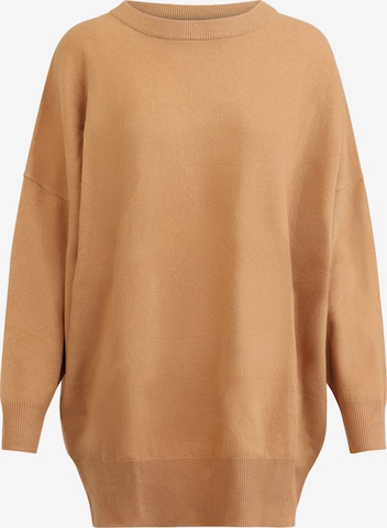 APART Sweater in Brown: front