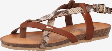 IGI&CO T-Bar Sandals in Brown: front