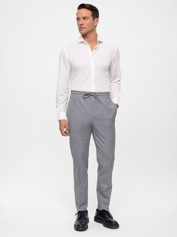 Regular Pantalon à plis Antioch en gris