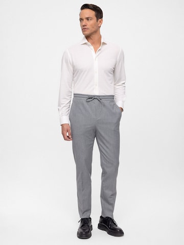 Antioch Regular Trousers with creases in Grey