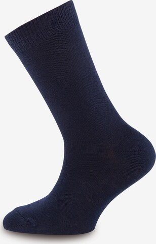 EWERS Regular Socks in Blue