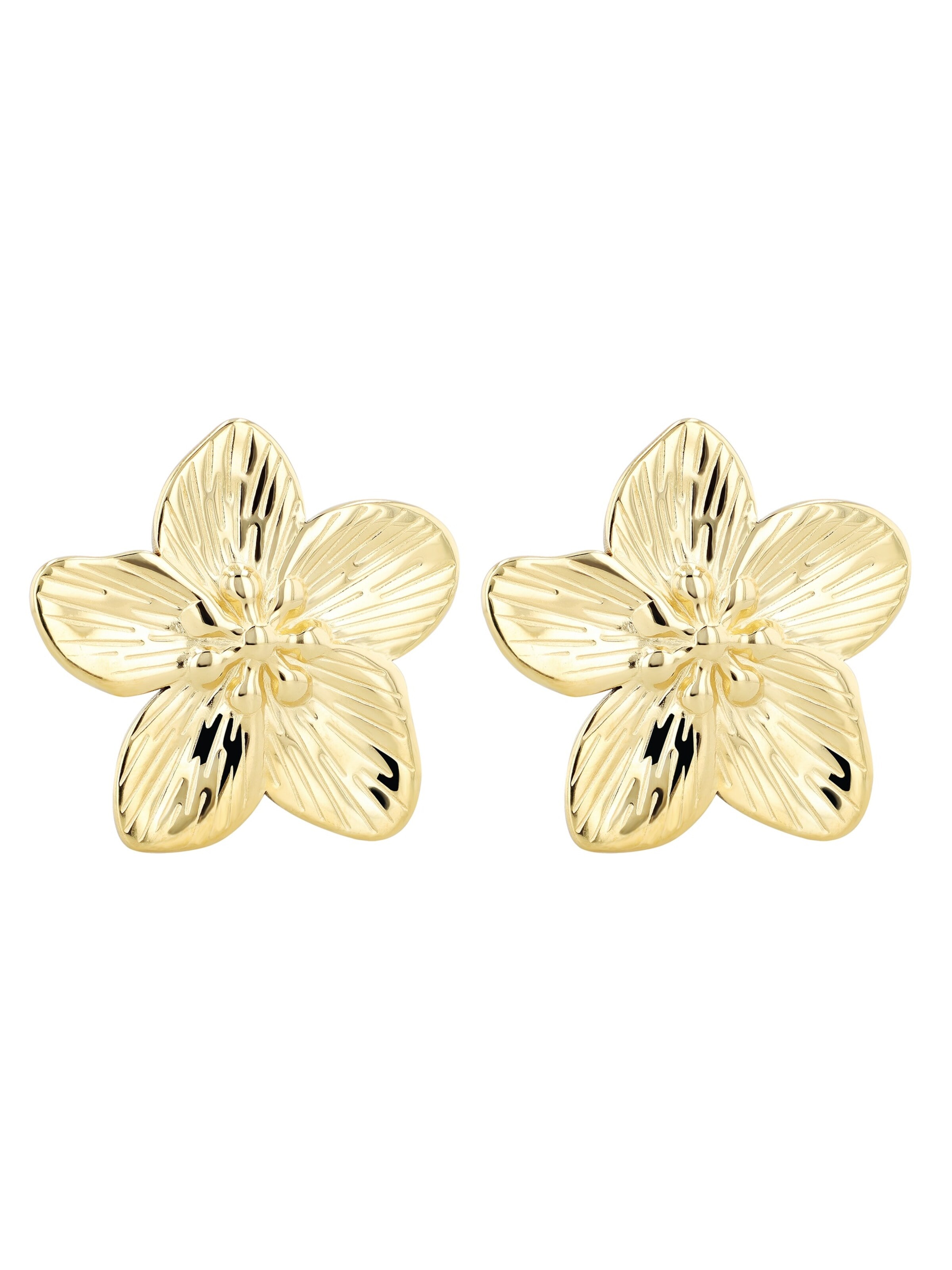 Akzent Ohrringe 'Valea, langlebig'‌‌‌‌‌‌‌‌‌‌ in Gold: Vorderseite