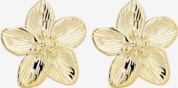 Akzent Ohrringe 'Valea, langlebig' in Gold: Vorderseite