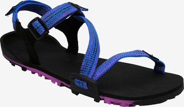 Xero Shoes Sandale 'Z-Trail EV' in Blau: predná strana