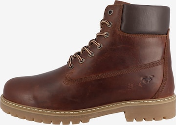 Boots stringati 'Thalke' di MUSTANG in marrone: frontale