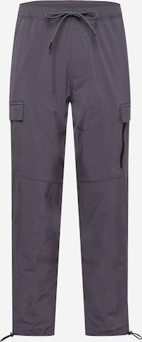 HOLLISTER Regular Cargo trousers in Grey: front