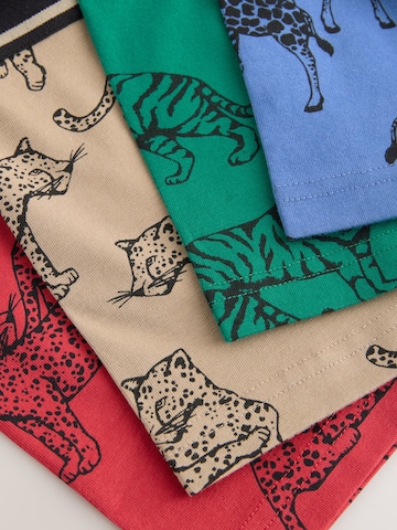 Next Onderbroek in Gemengde kleuren