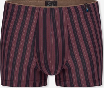 Boxers ' Long Life Soft ' SCHIESSER en marron : devant