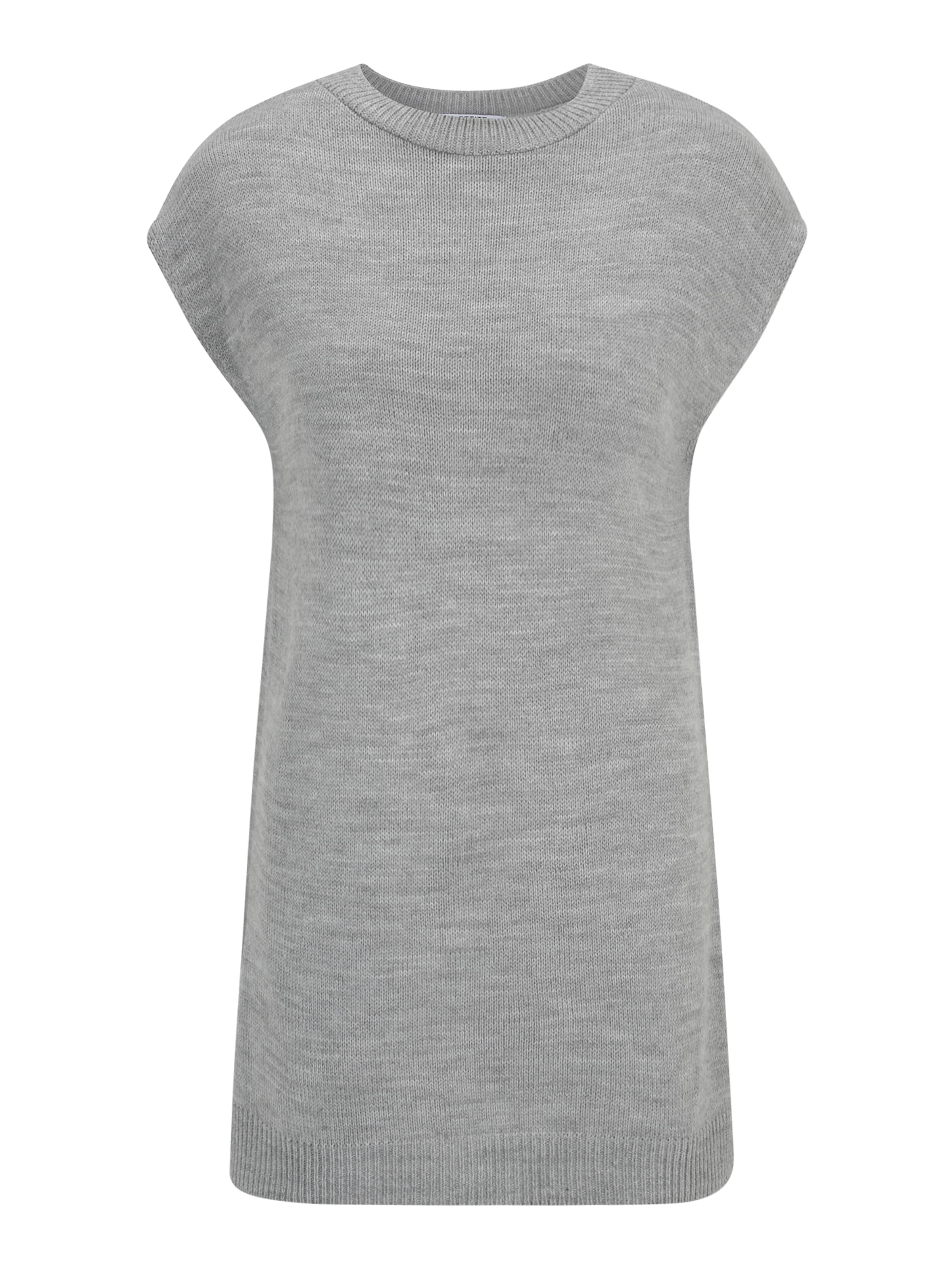 Dorothy Perkins Petite Sweater in Grey: front