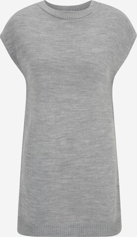 Pull-over Dorothy Perkins Petite en gris : devant