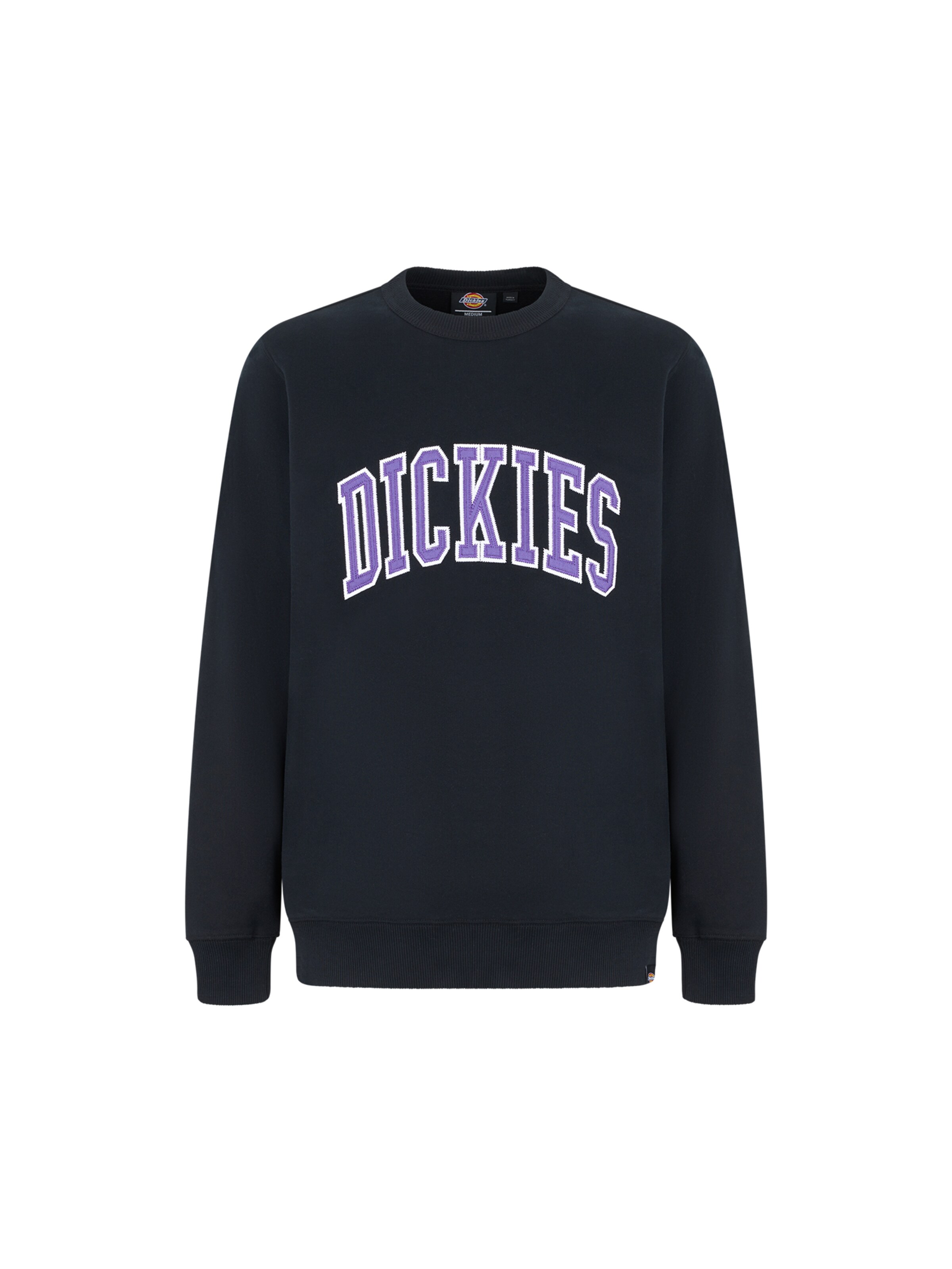 DICKIES Sweatshirt AITKIN in Blue ABOUT YOU