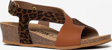 Bayton Sandal 'Salamanque' in Brown