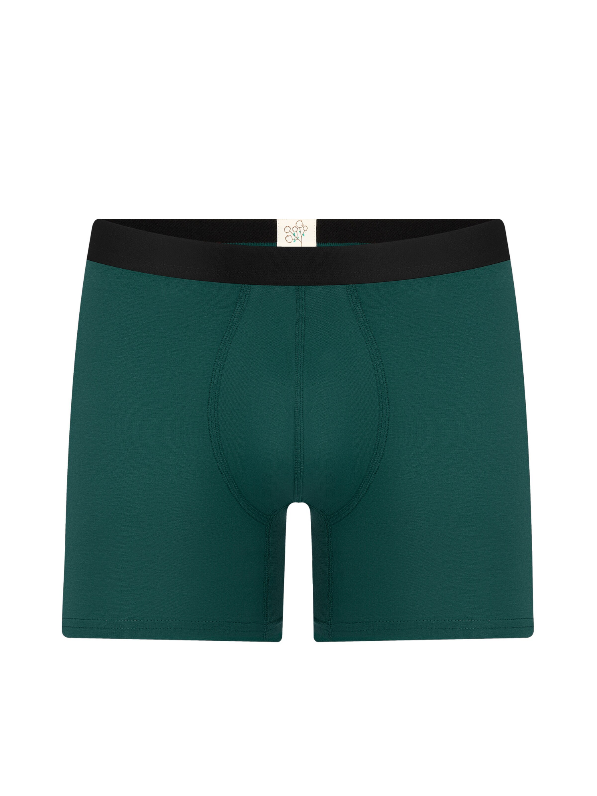 Albero Natur Long Johns 'Bio-Baumwoll-Herren Long Trunks' in Green: front