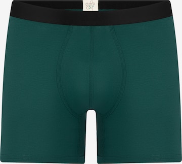 Albero Natur Long Johns 'Bio-Baumwoll-Herren Long Trunks' in Green: front