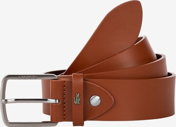 Ceinture LACOSTE en marron