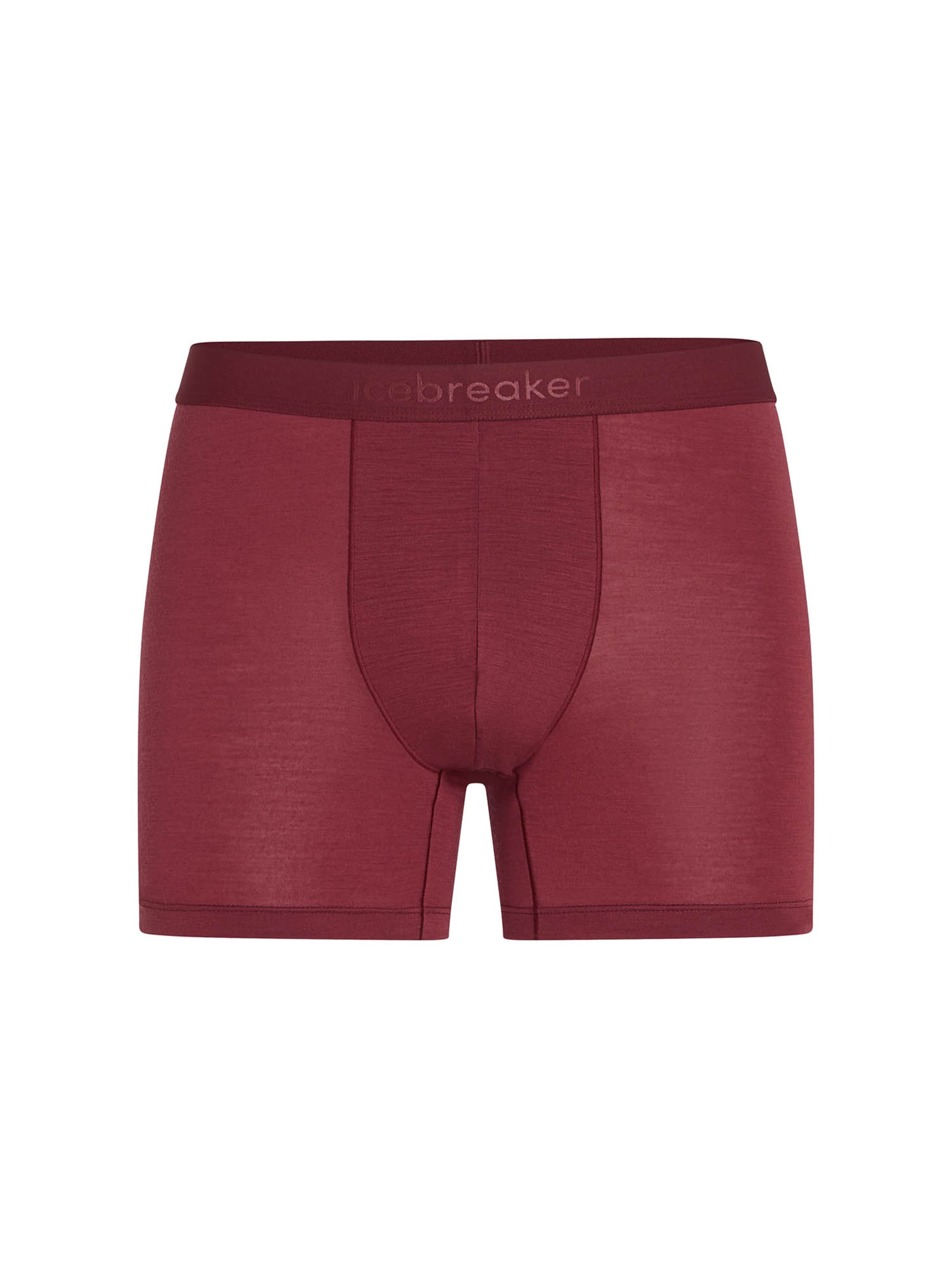 ICEBREAKER Athletic Underwear 'Anatomica' in Red: front