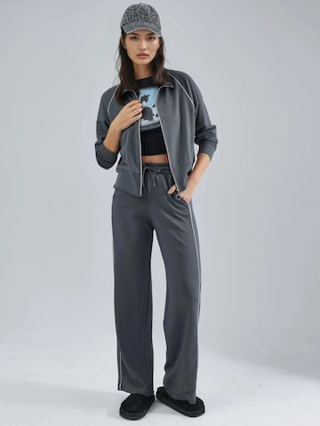 Tailleur di Hiccup in grigio: frontale