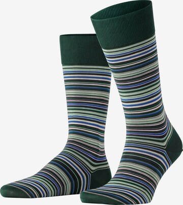 FALKE Socken 'Microblock' in Grün: Vorderseite