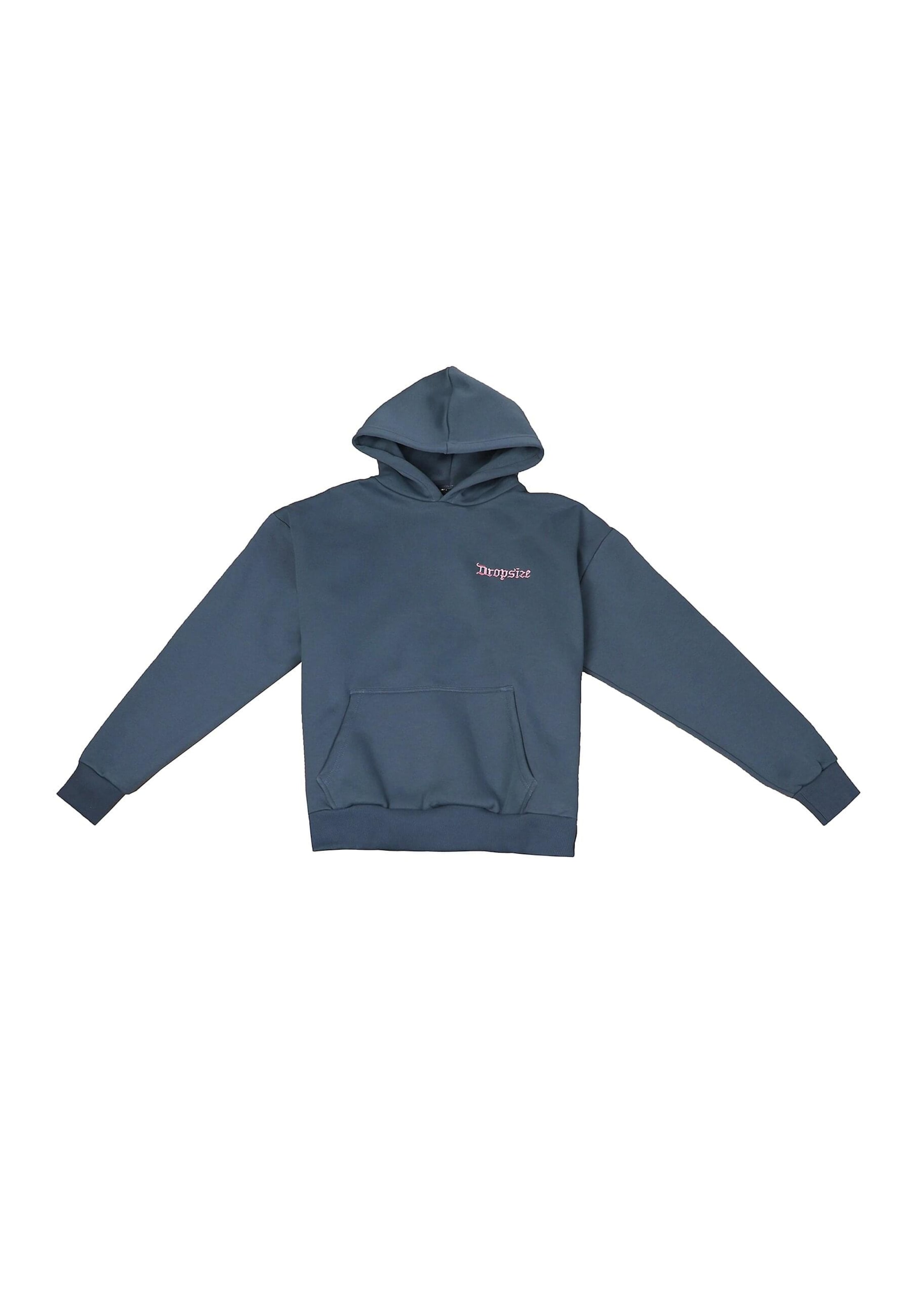 Dropsize Sweatshirt 'Embo' in Grau: Vorderseite
