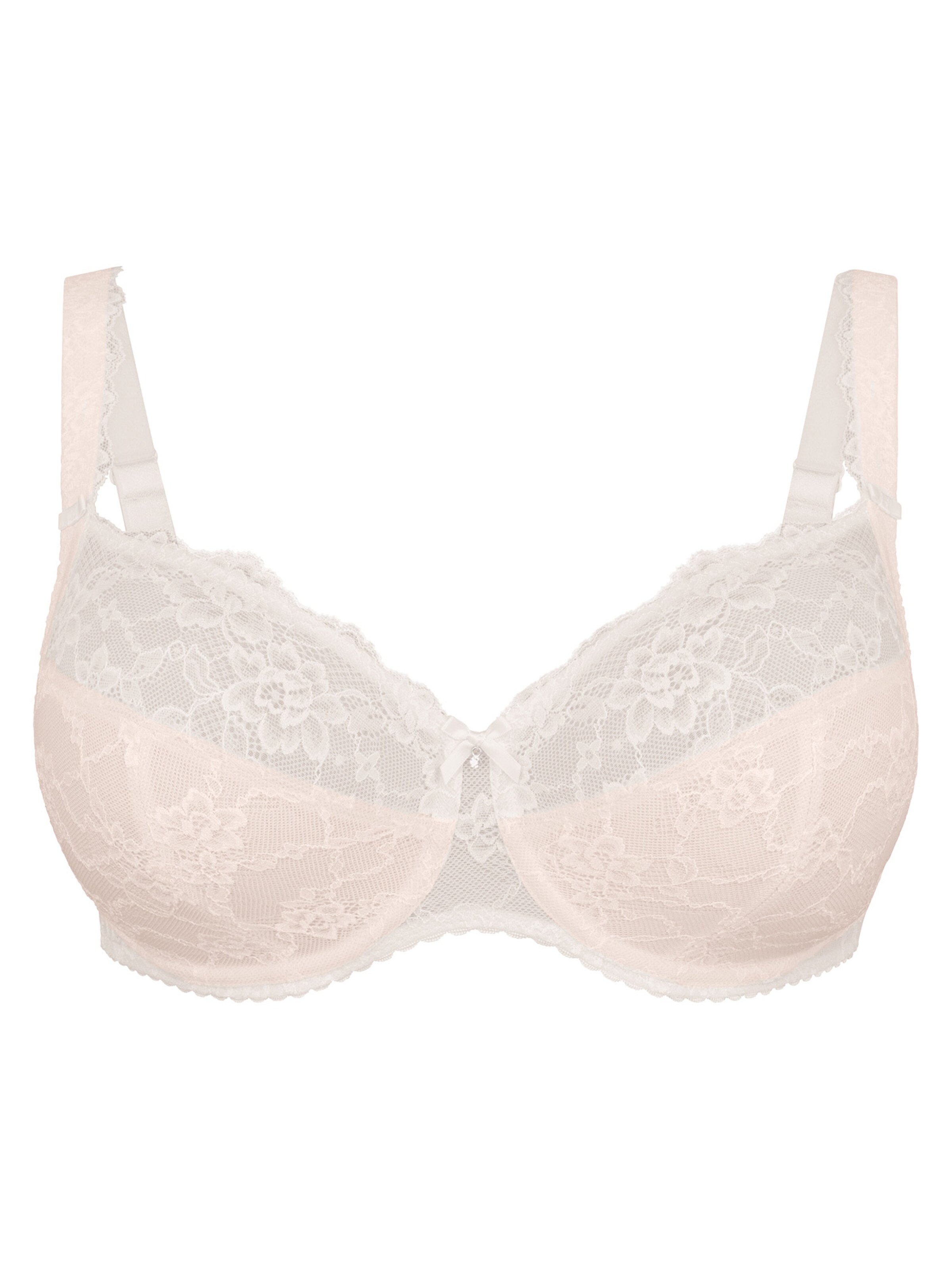 ROSA FAIA BH 'Bobette' in Weiß: Vorderseite