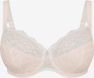 ROSA FAIA BH 'Bobette' in Weiß: Vorderseite