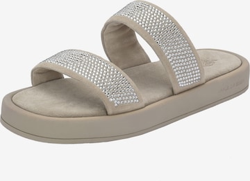 Apple of Eden Strap Sandals 'CLARICE' in Grey: front