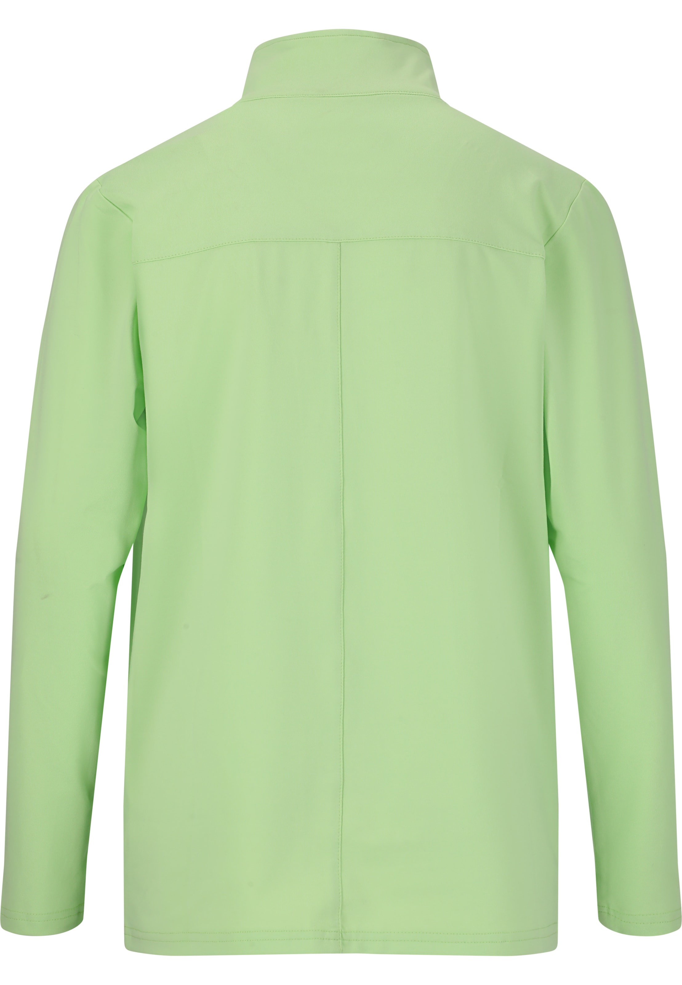 ENDURANCE Functioneel shirt 'Allan' in Groen