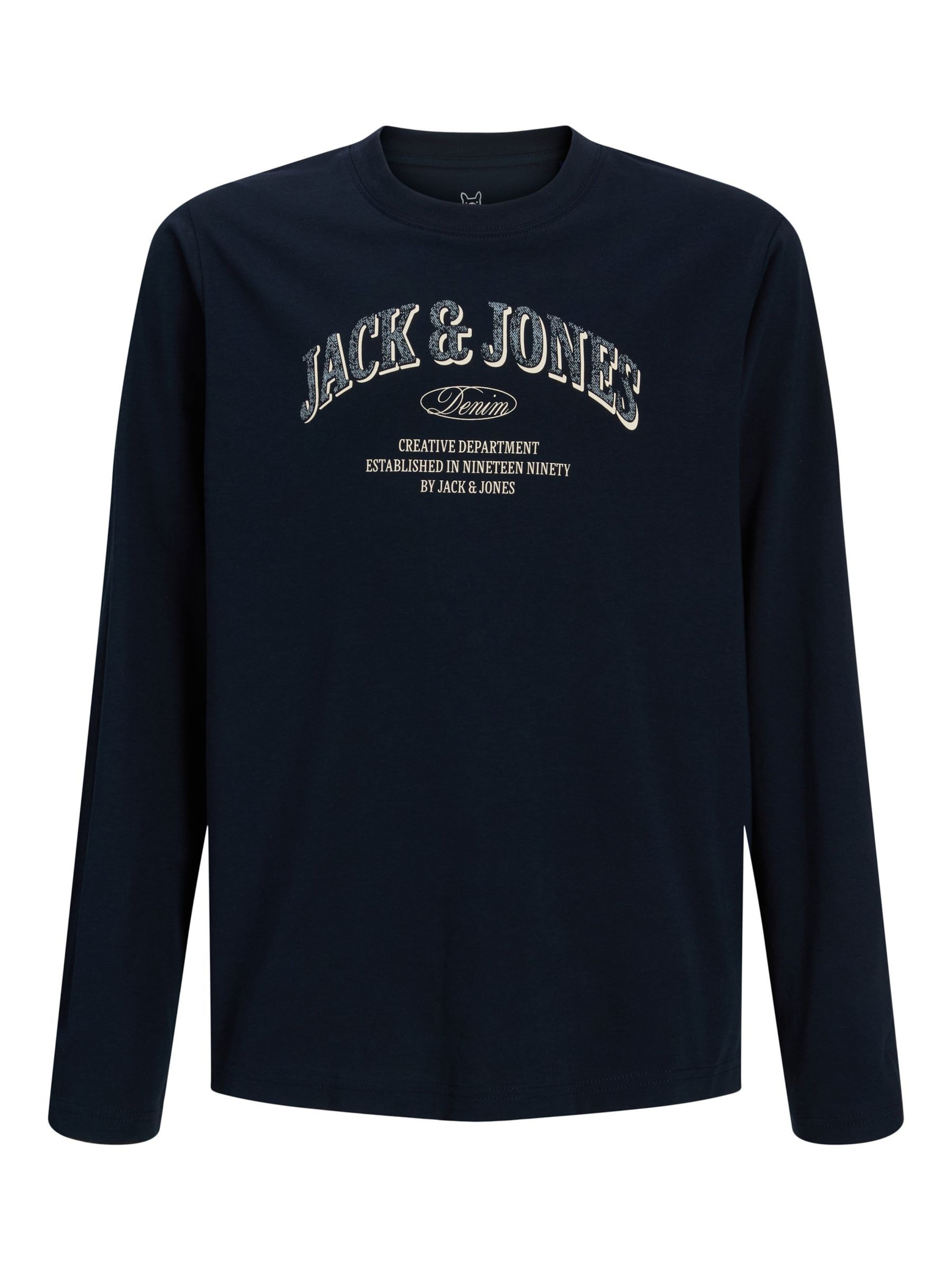 Jack & Jones Junior Shirt 'JJEDenver' in Blue: front
