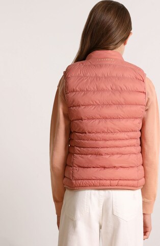 Scalpers Vest in Pink